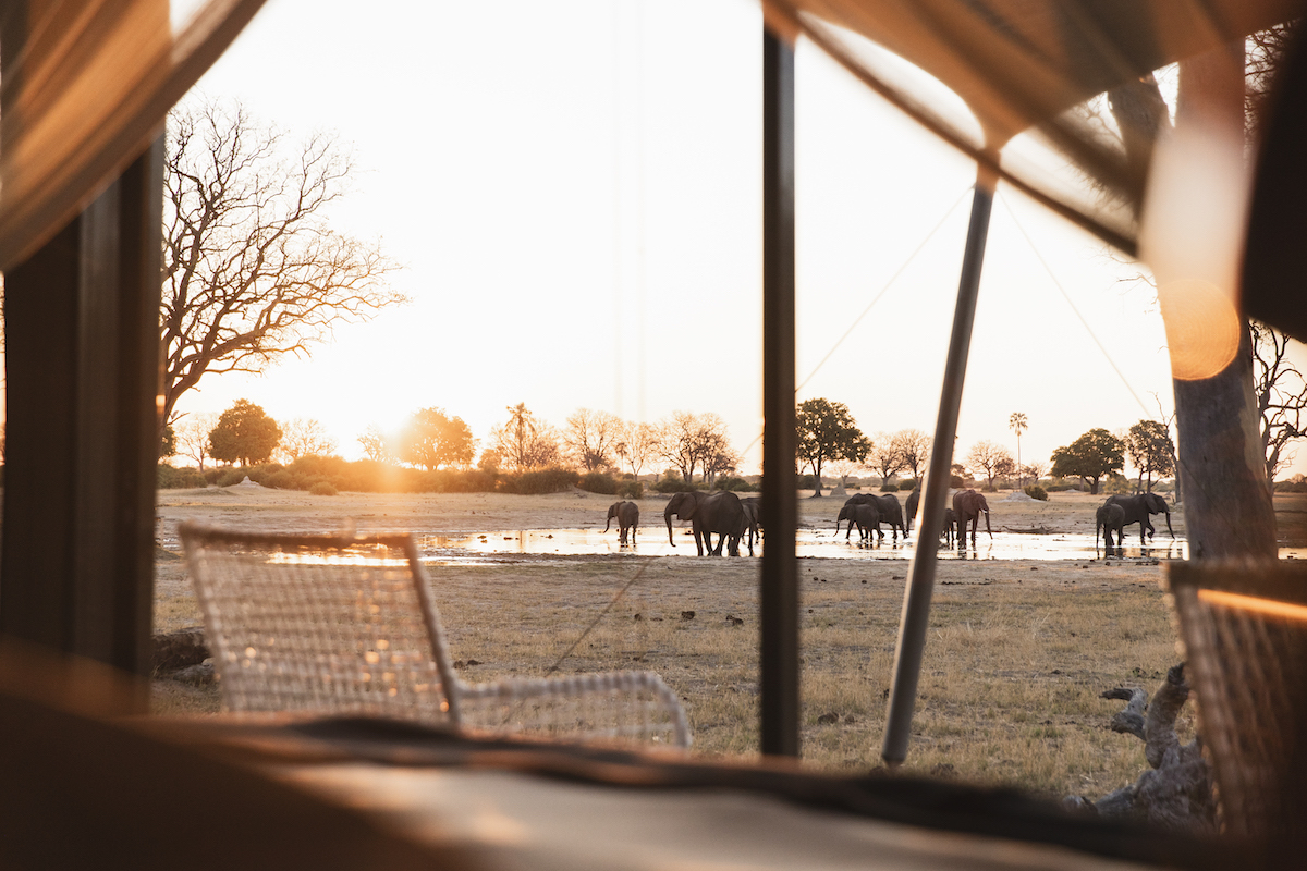 LINKWASHA CAMP