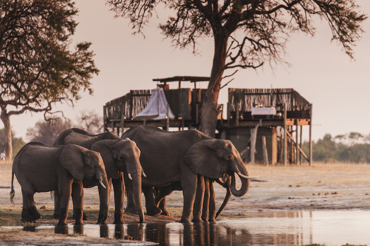 LINKWASHA CAMP