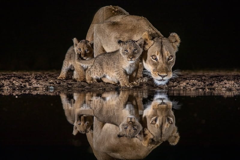 South Africa