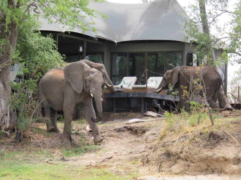 Old Drift Lodge