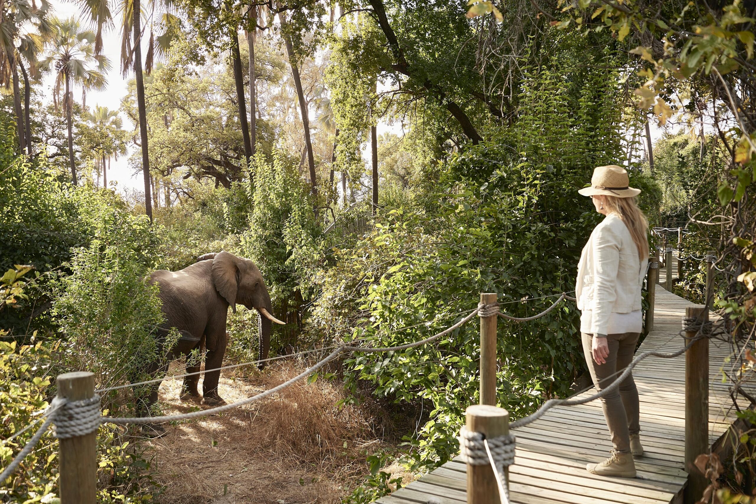 Victoria Falls River Lodge