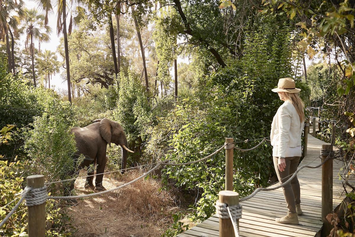 VICTORIA FALLS RIVER LODGE