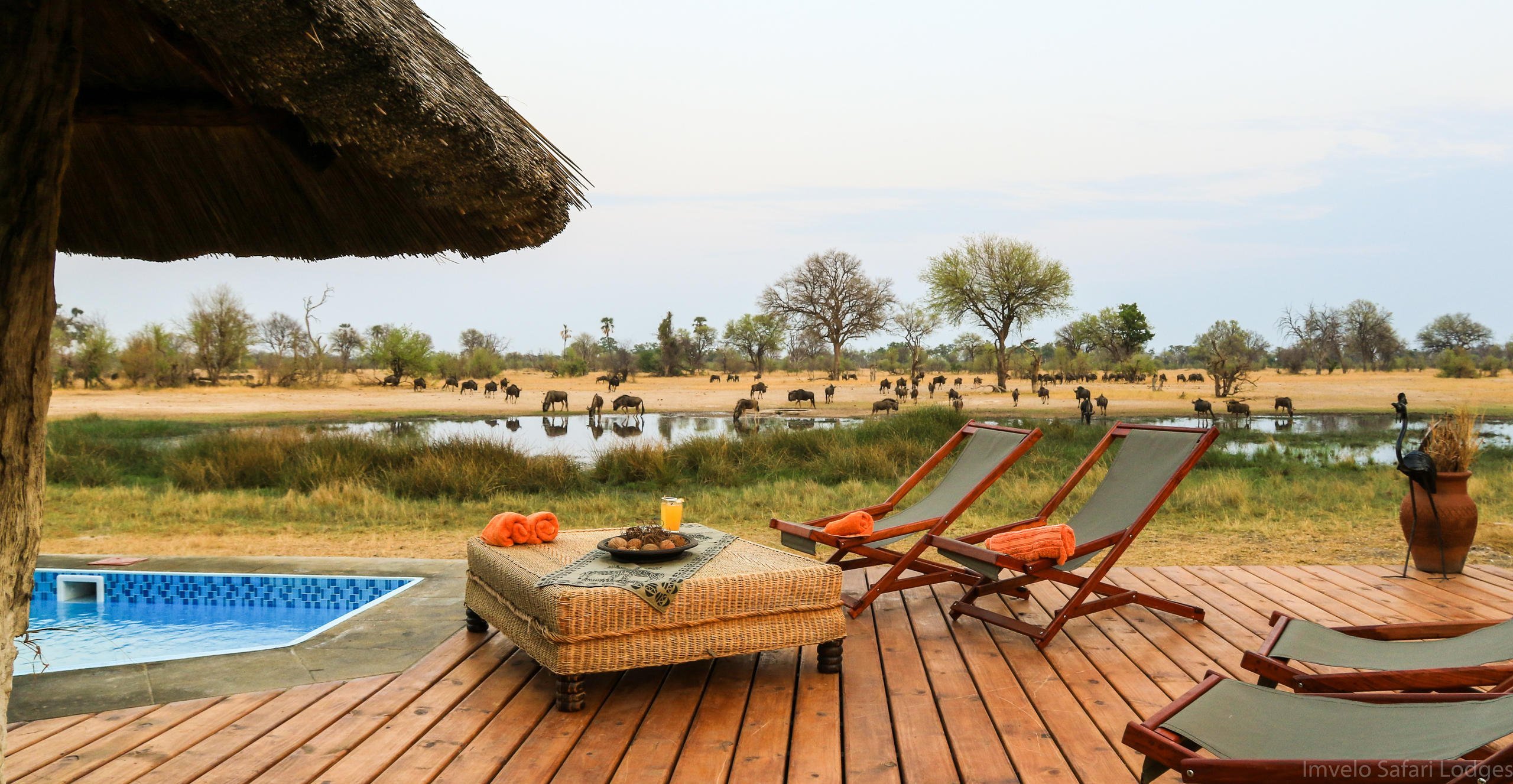BOMANI TENTED CAMP