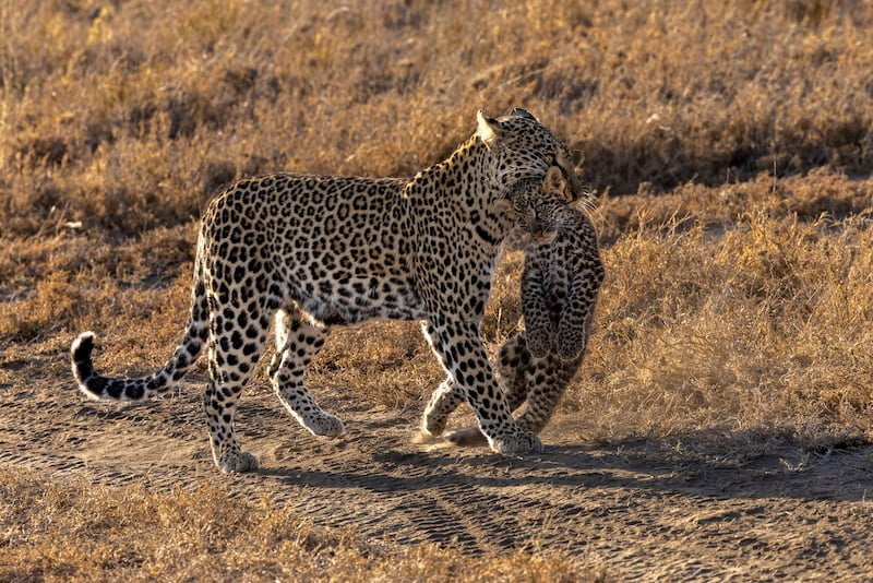 Tanzania