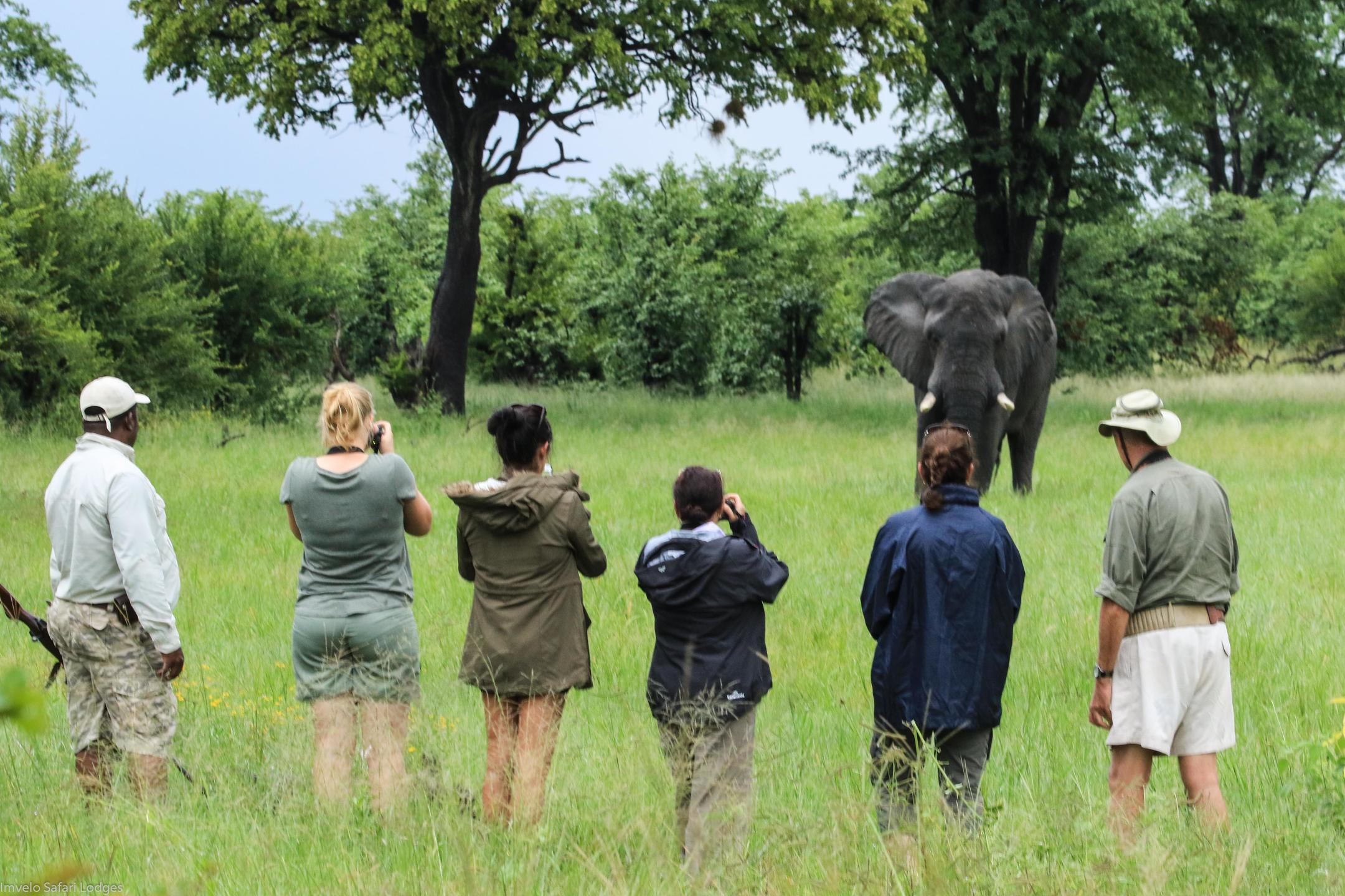 BOMANI TENTED CAMP