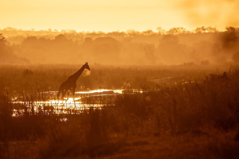 South Africa