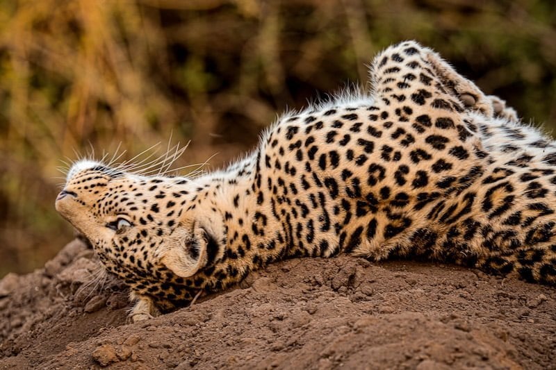 Okavango Delta