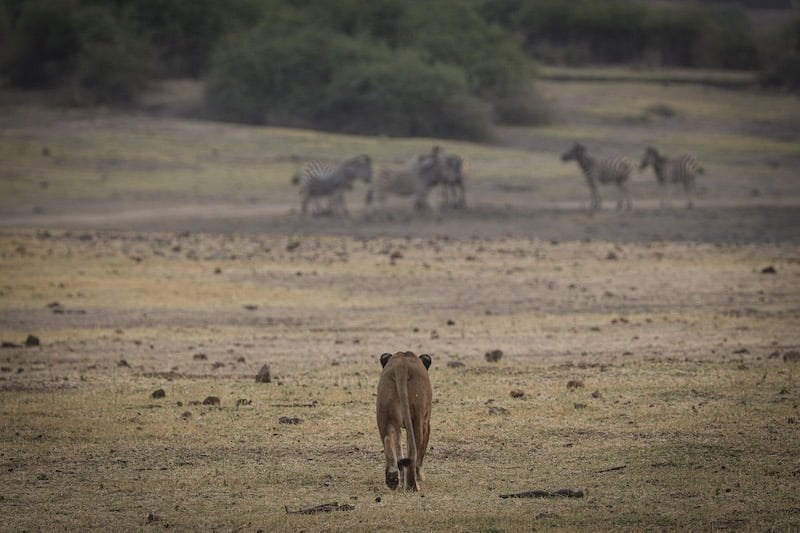 Okavango Delta