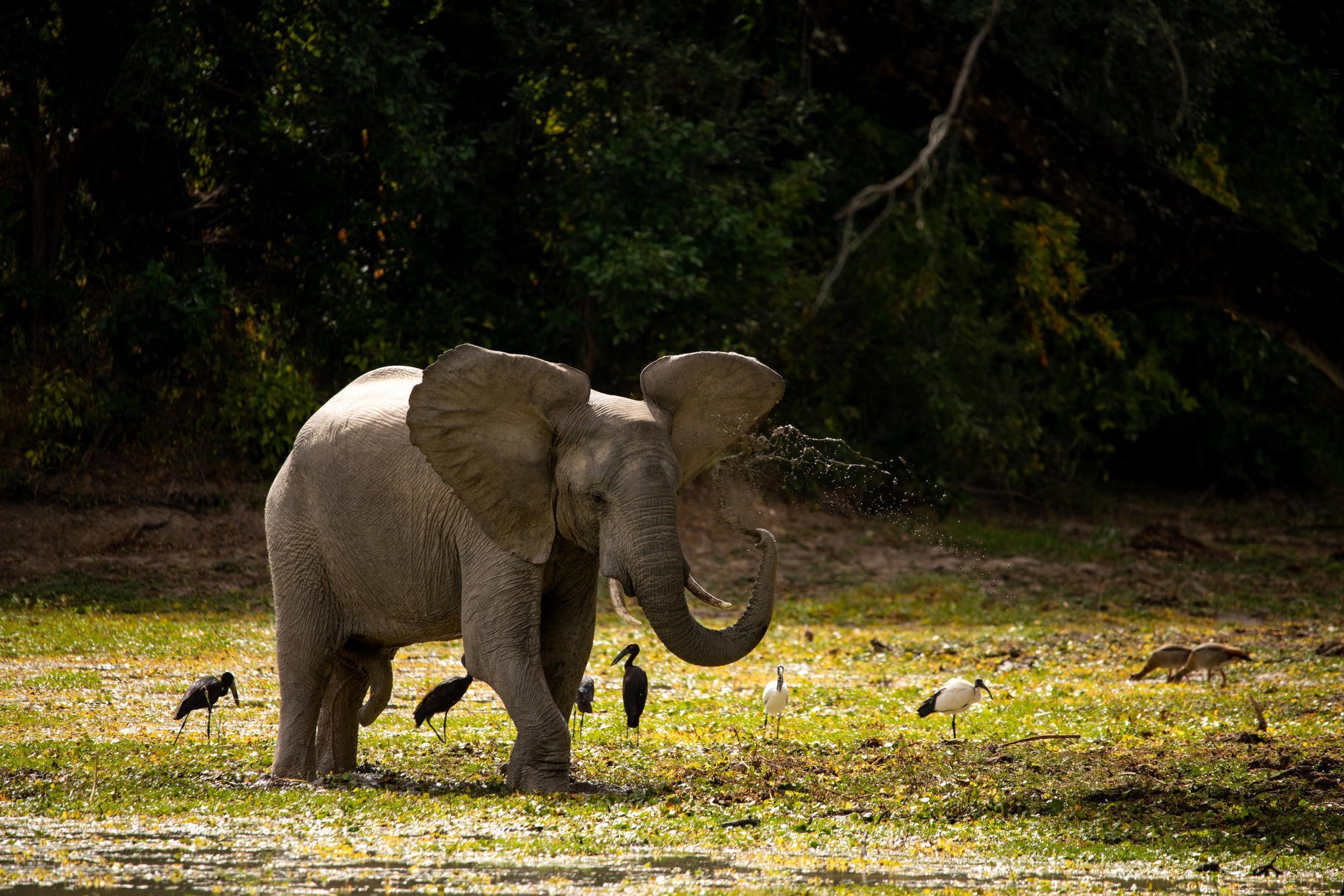 CONSERVATION AND CONCESSIONS