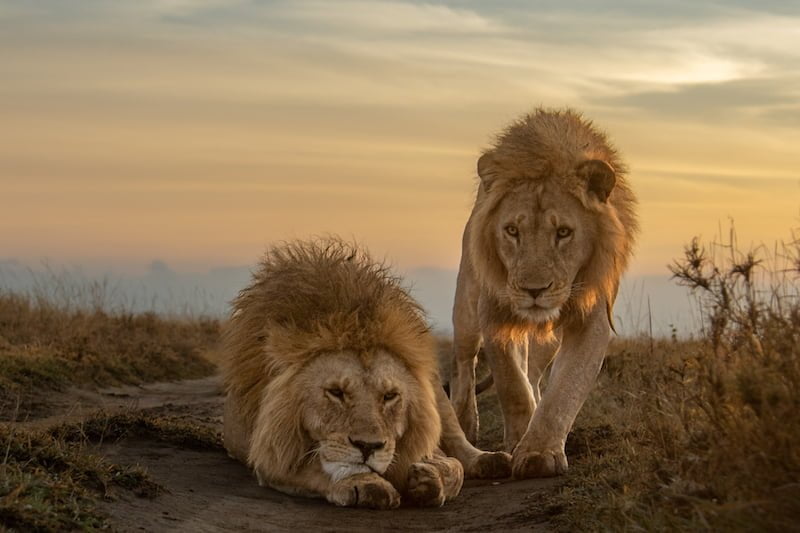 Tanzania