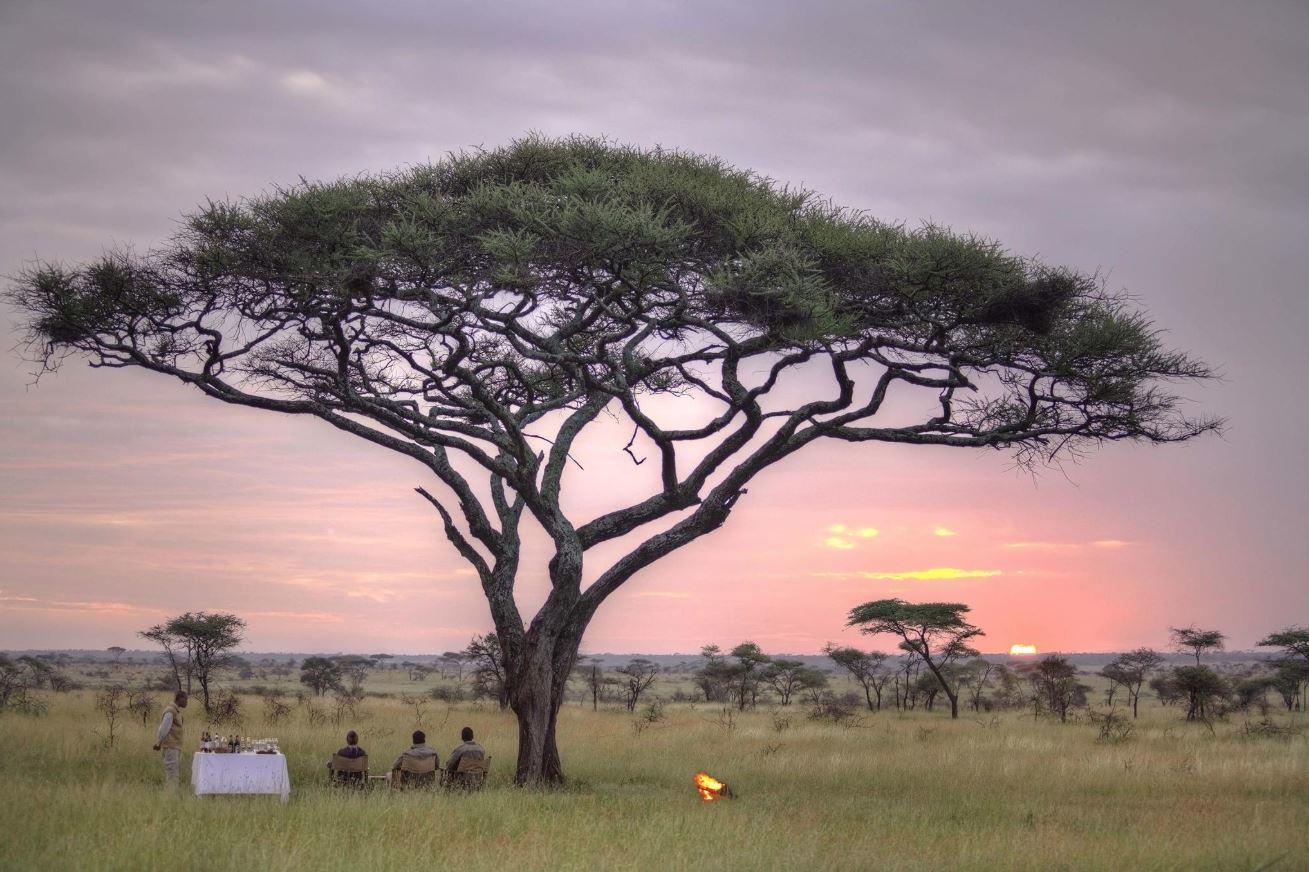OLMARA CAMP