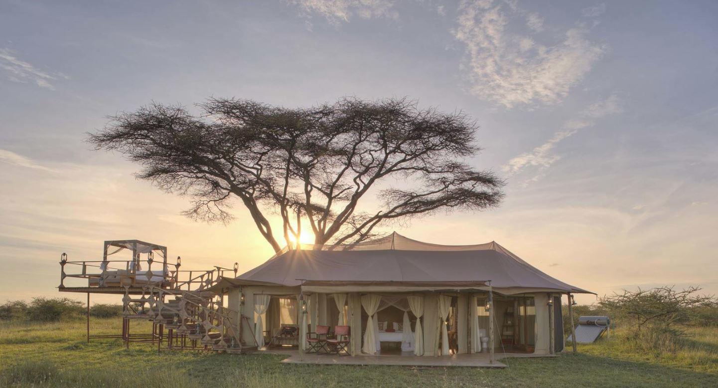 OLMARA CAMP