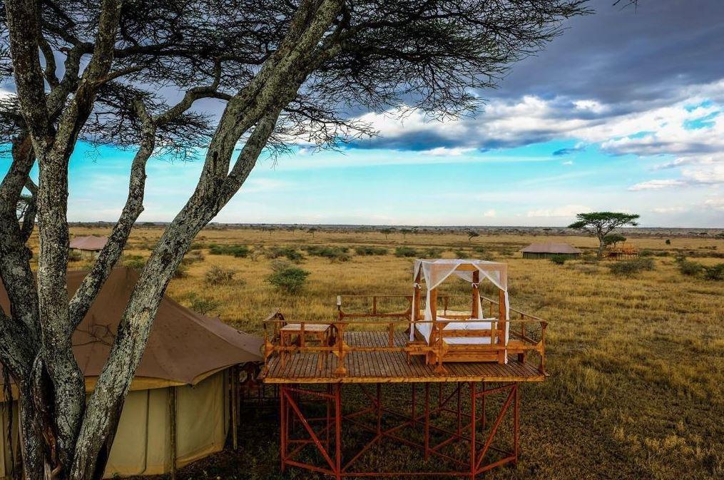 OLMARA CAMP