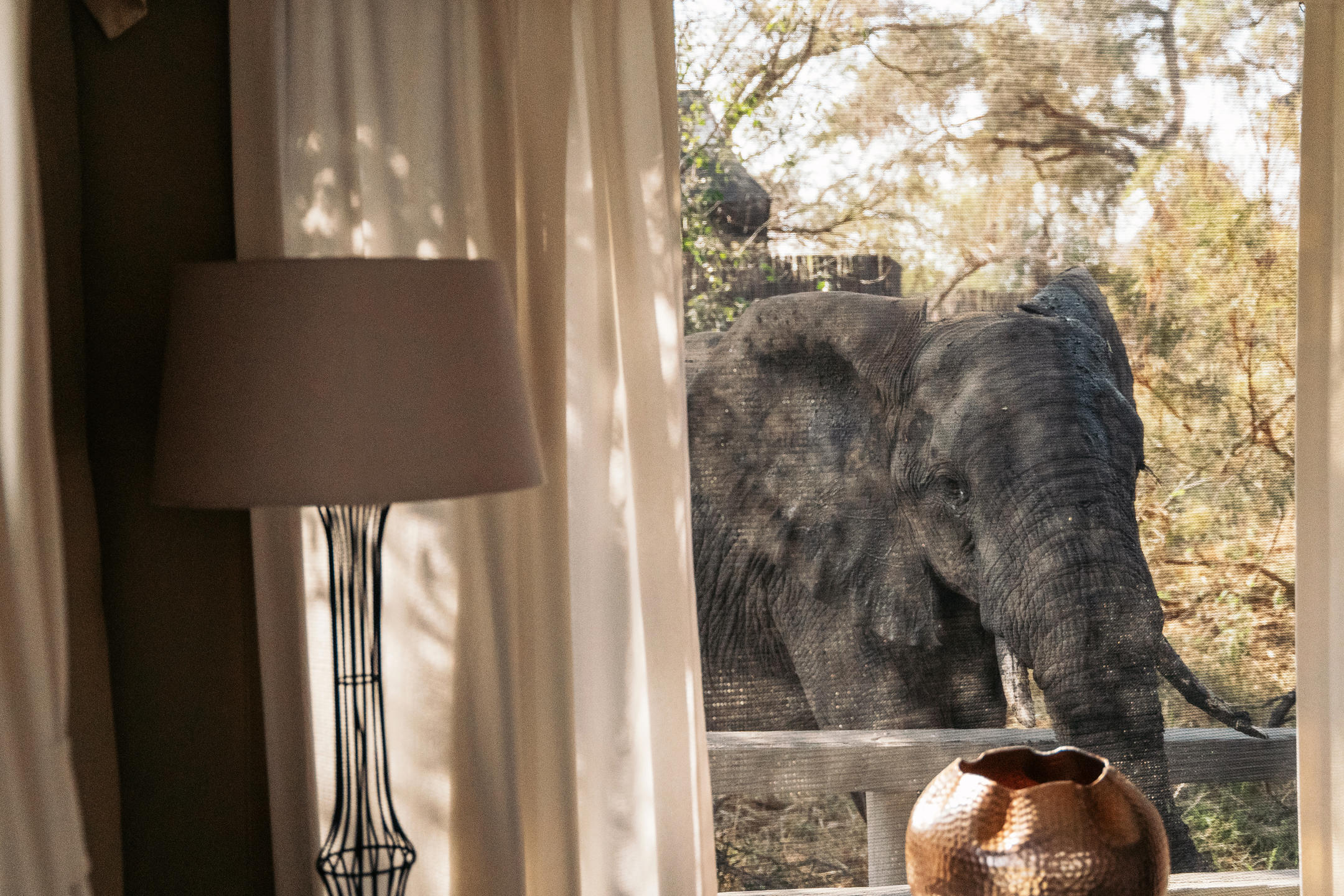 SIMBAVATI RIVER LODGE