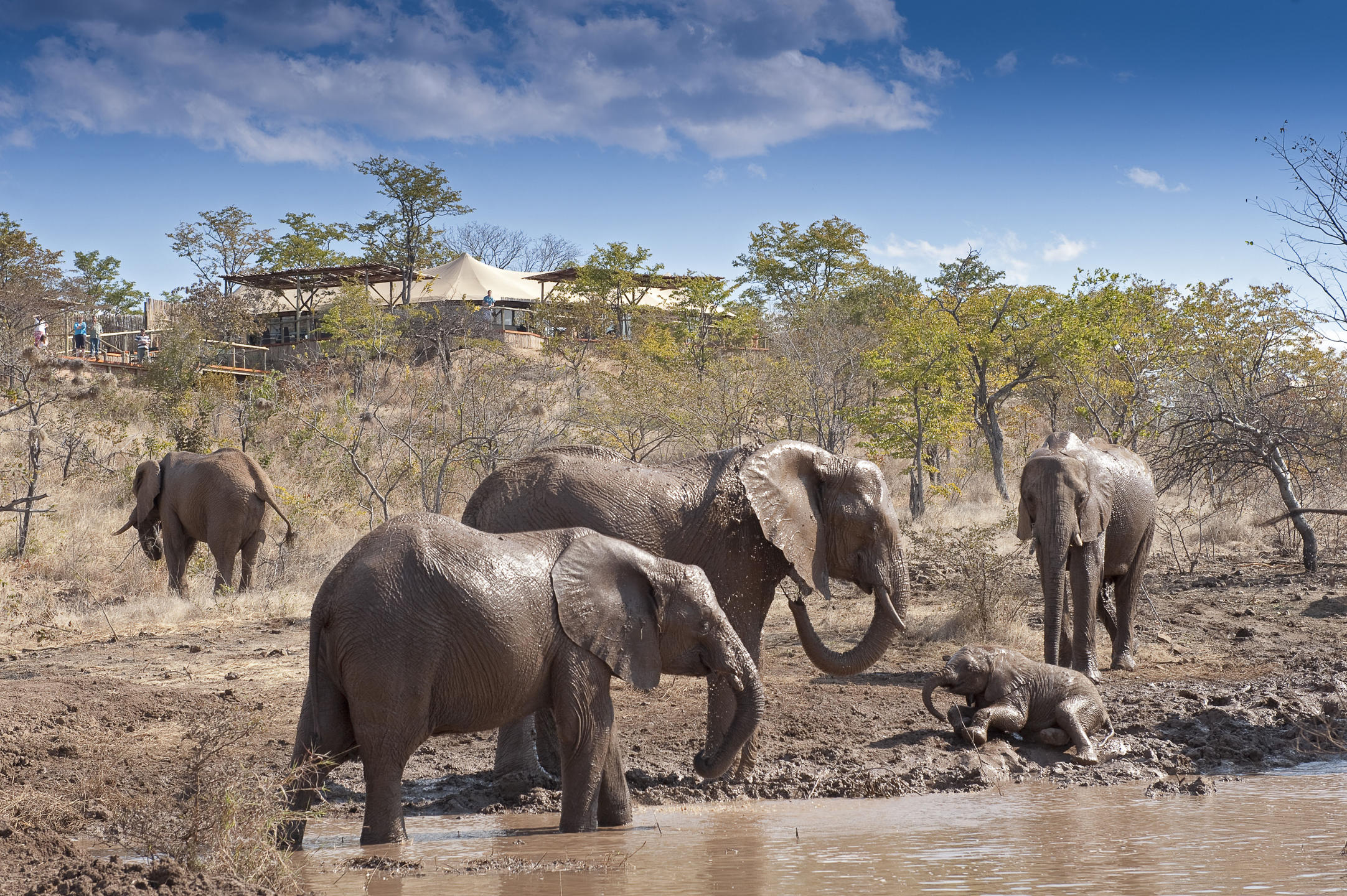 HWANGE BY RAIL
