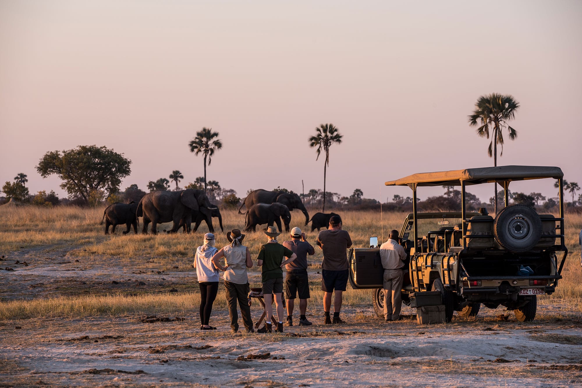 THE HIDE SAFARI CAMP