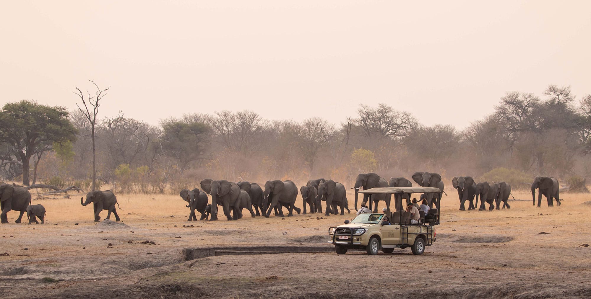 THE HIDE SAFARI CAMP
