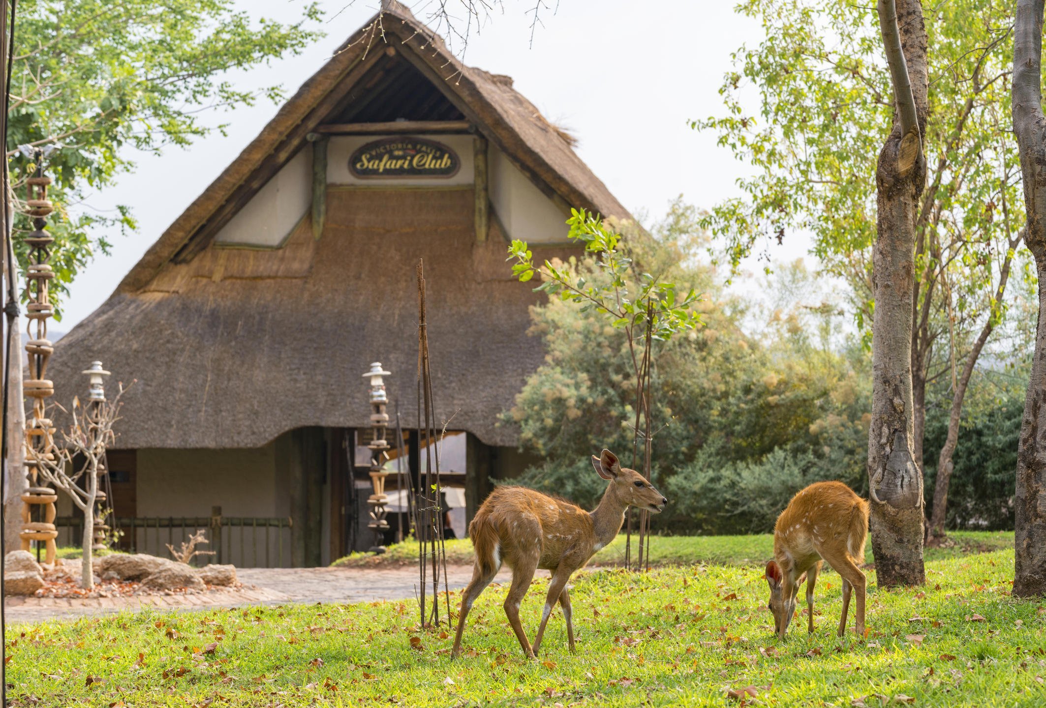 VICTORIA FALLS SAFARI CLUB