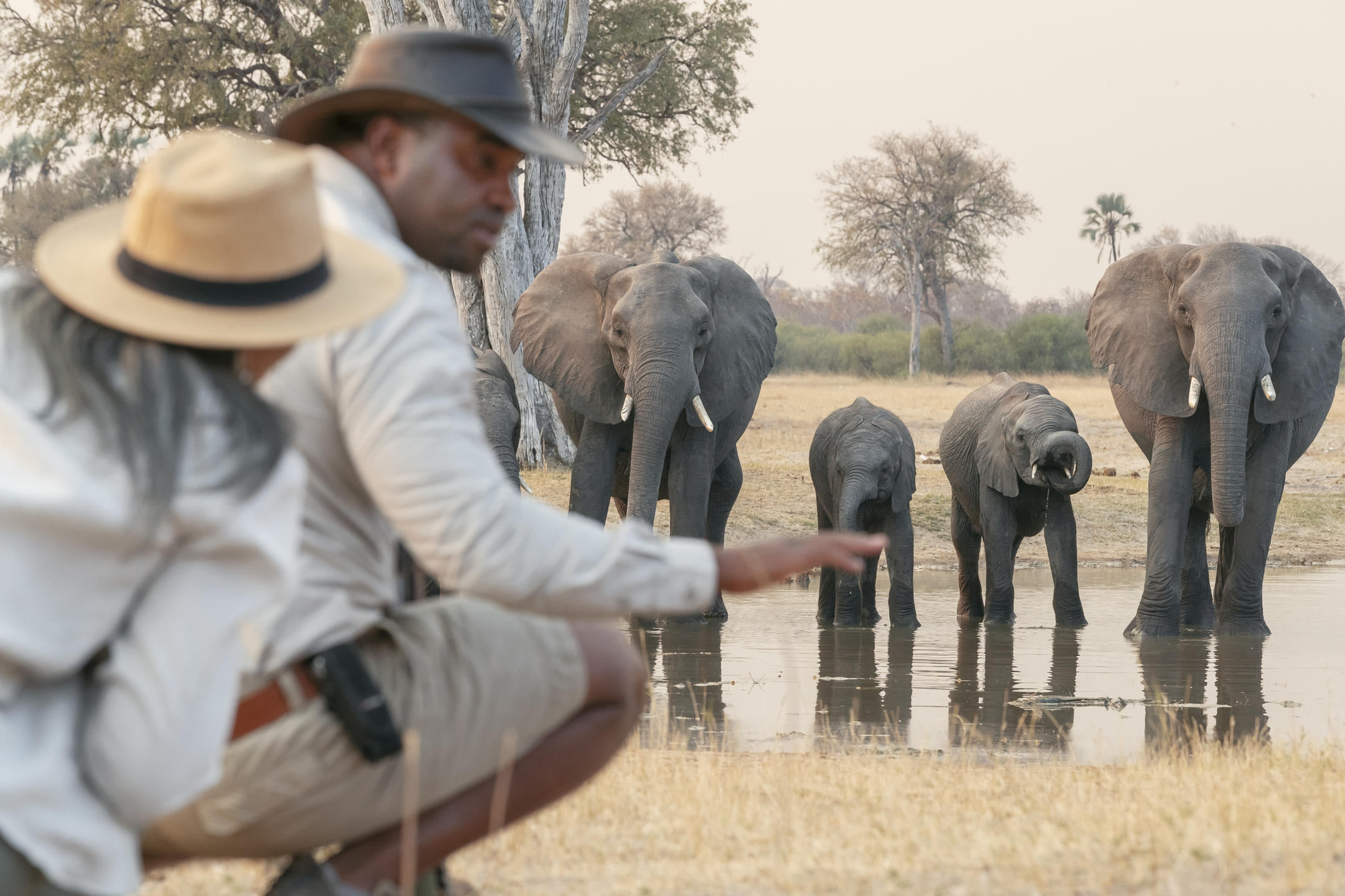 Conservation And Concessions