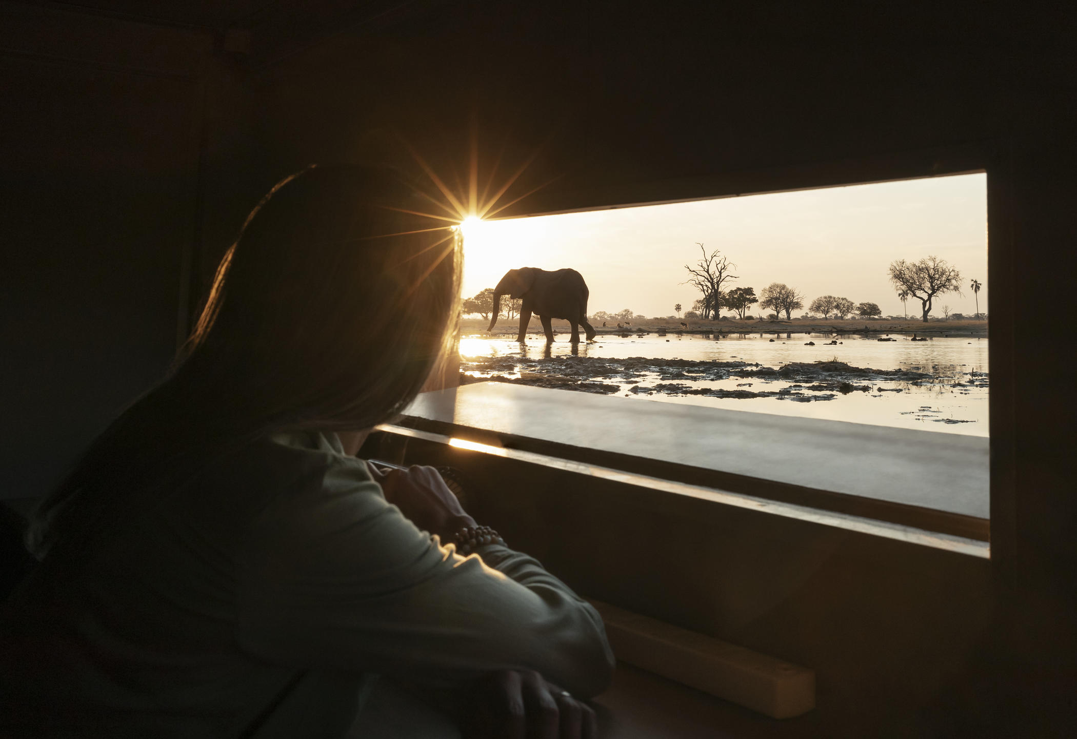 CONSERVATION AND CONCESSIONS