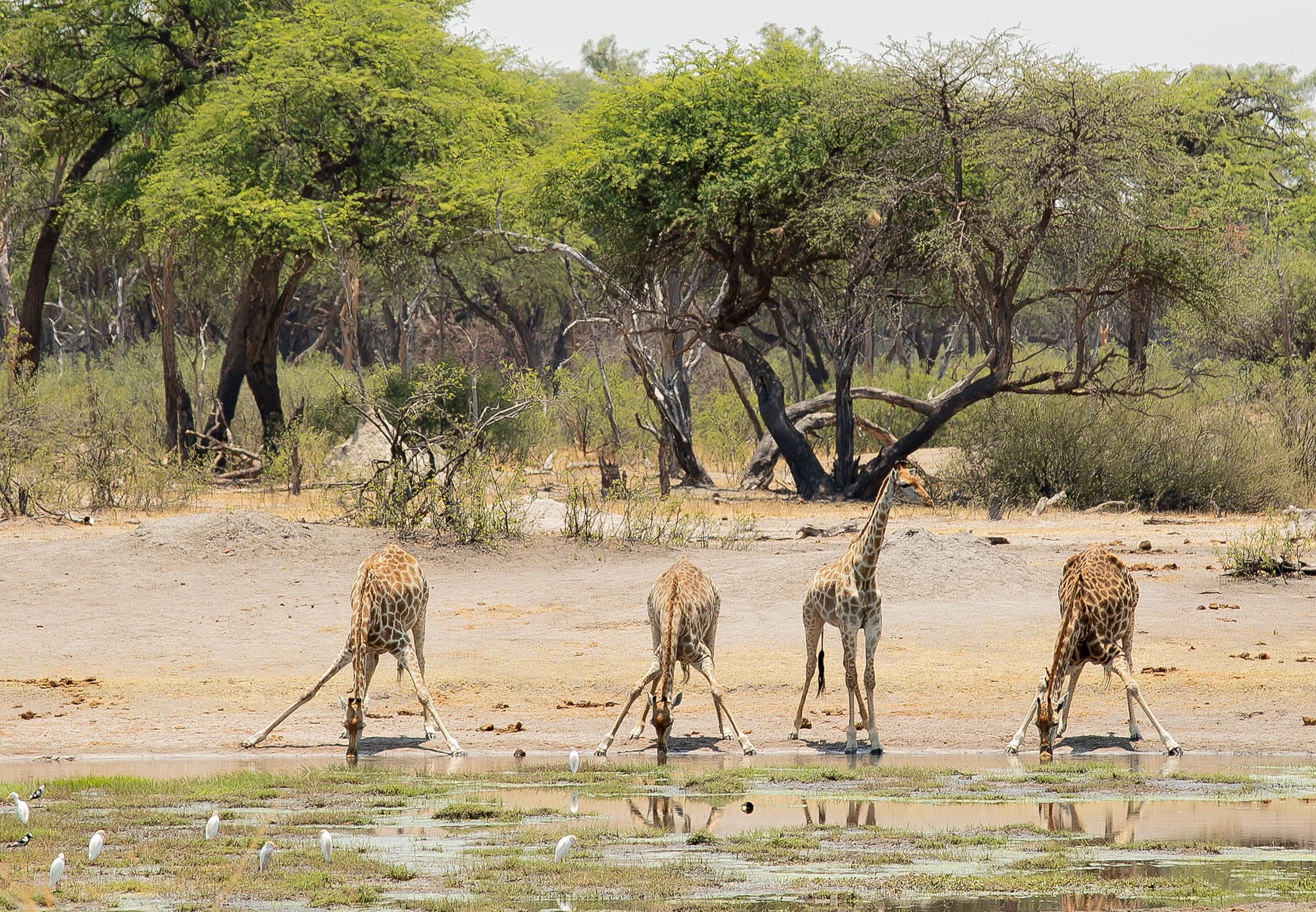 THE HIDE SAFARI CAMP