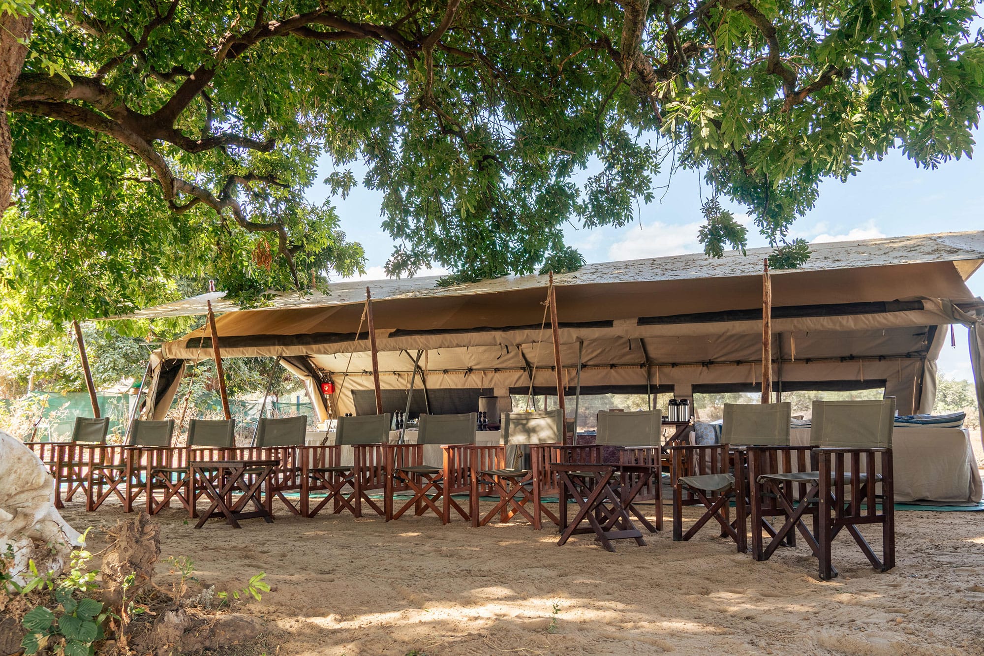 Zambezi Expeditions