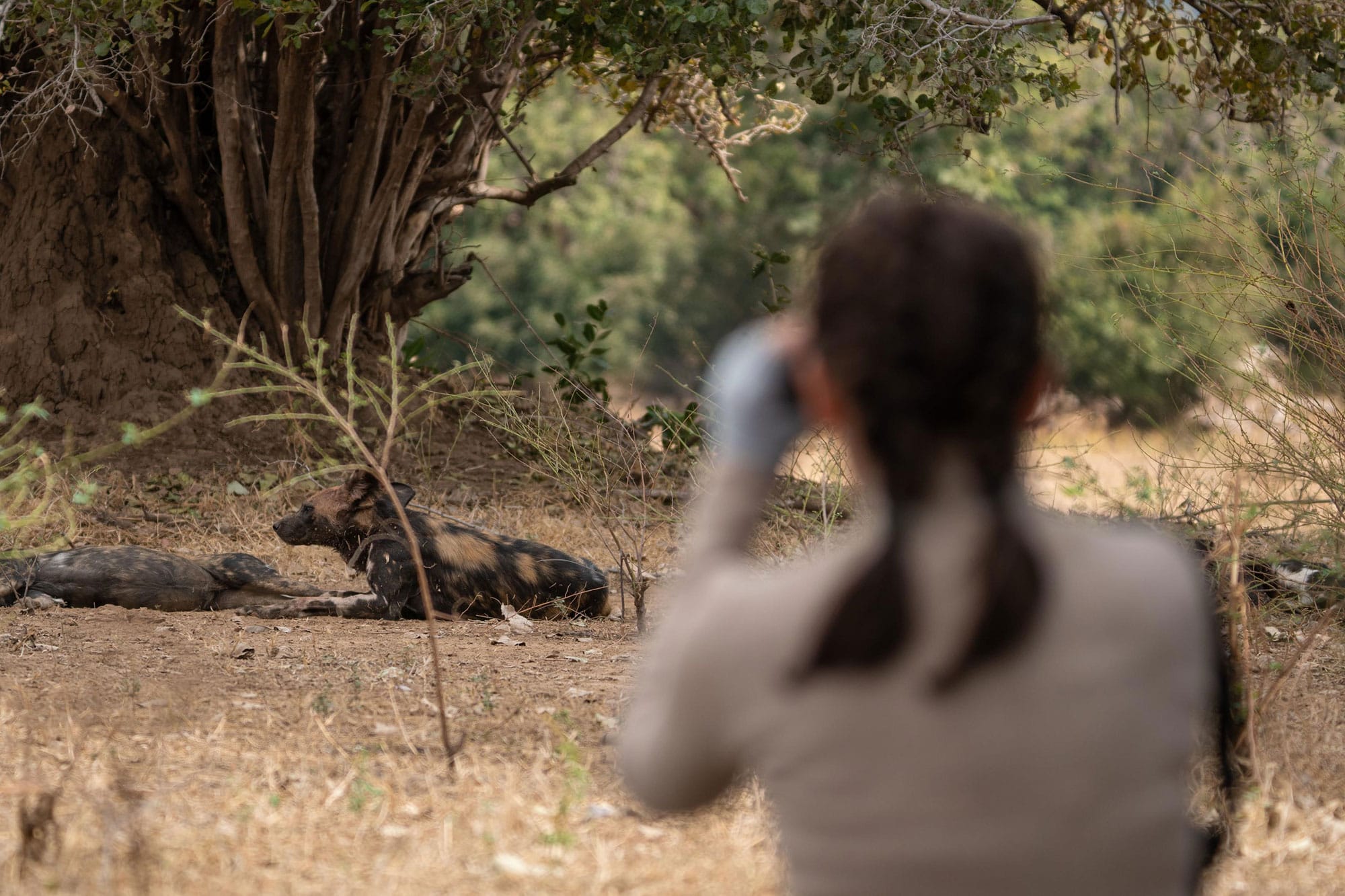 Zambezi Expeditions