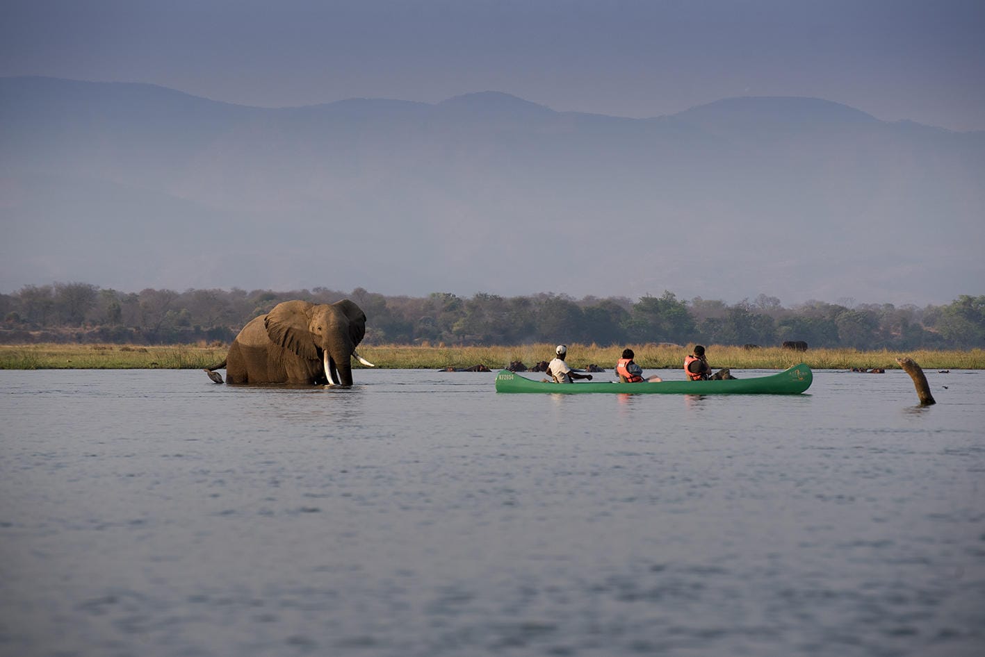 Zambezi Expeditions