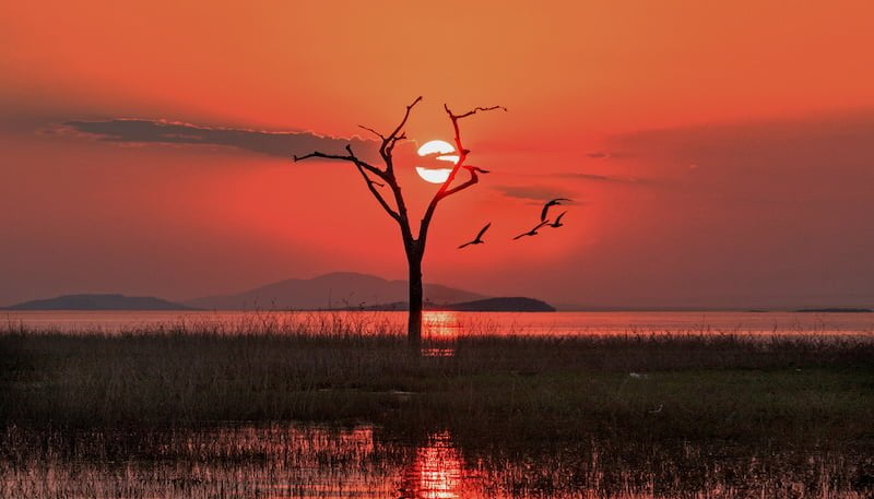 Zimbabwe