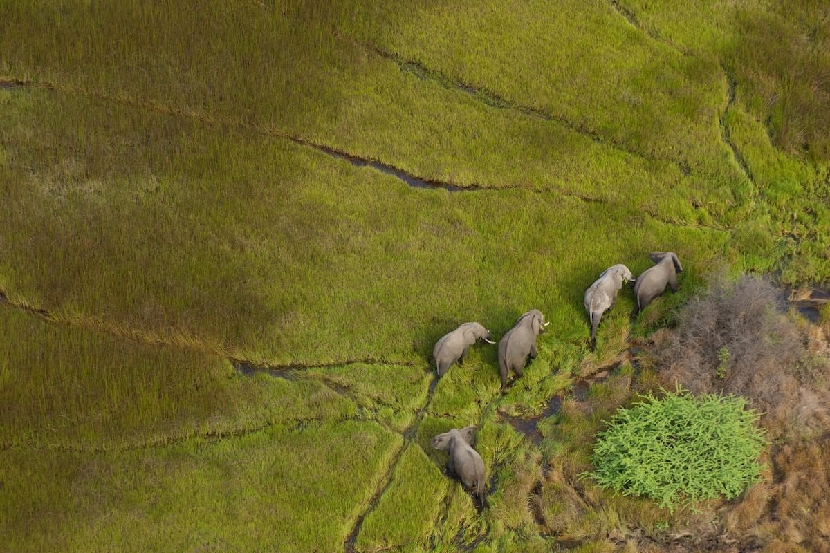 Botswana