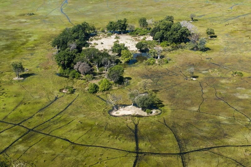 Okavango Delta
