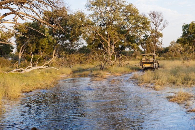 Okavango Delta