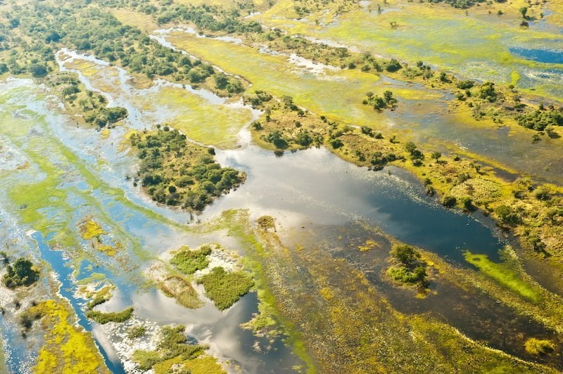 Okavango Delta