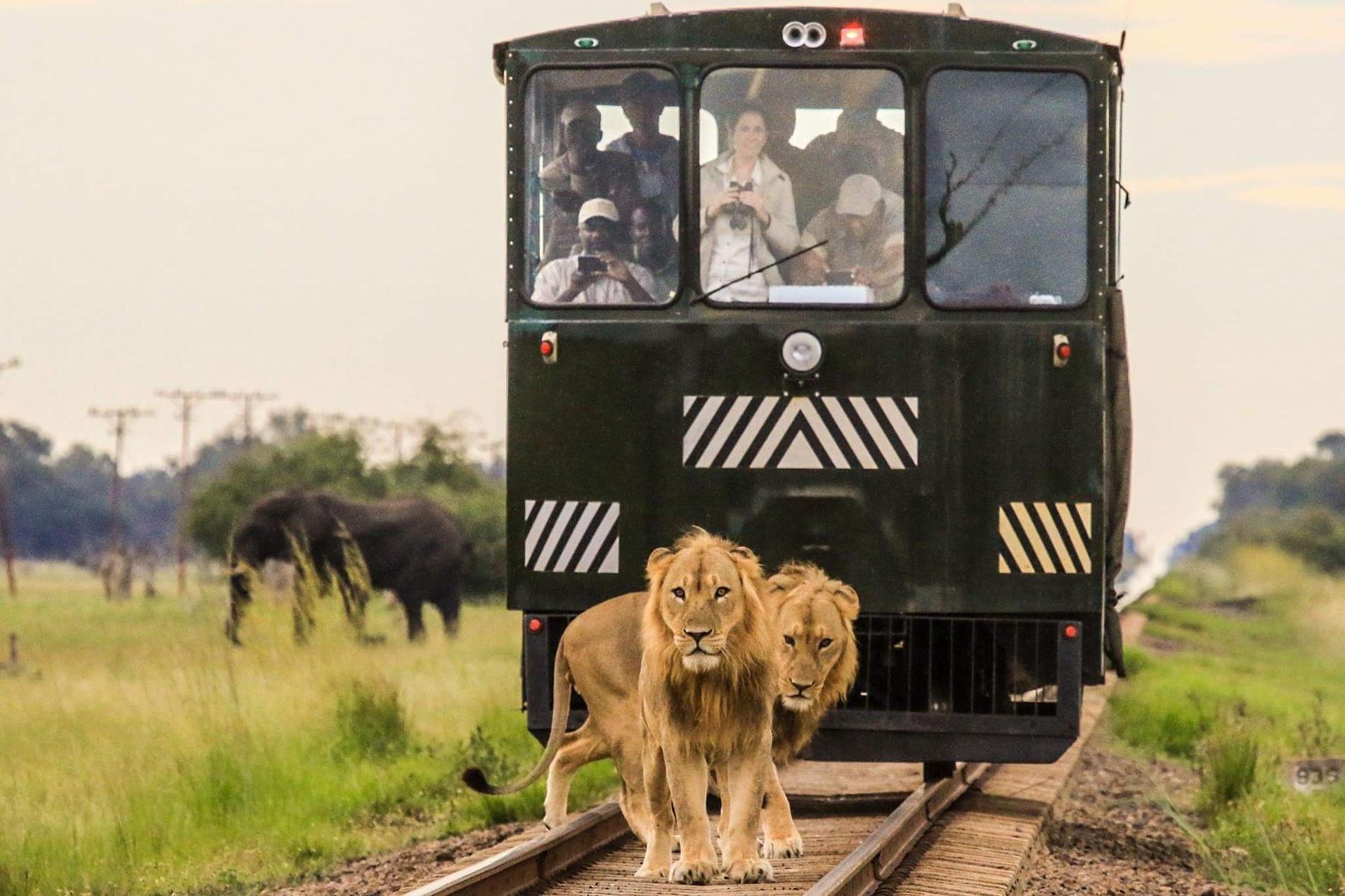 Hwange By Rail