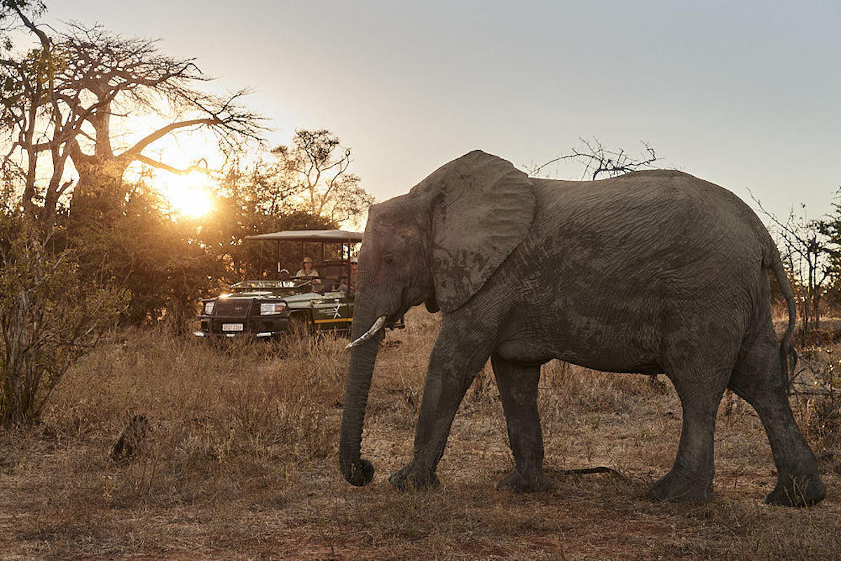 VICTORIA FALLS RIVER LODGE