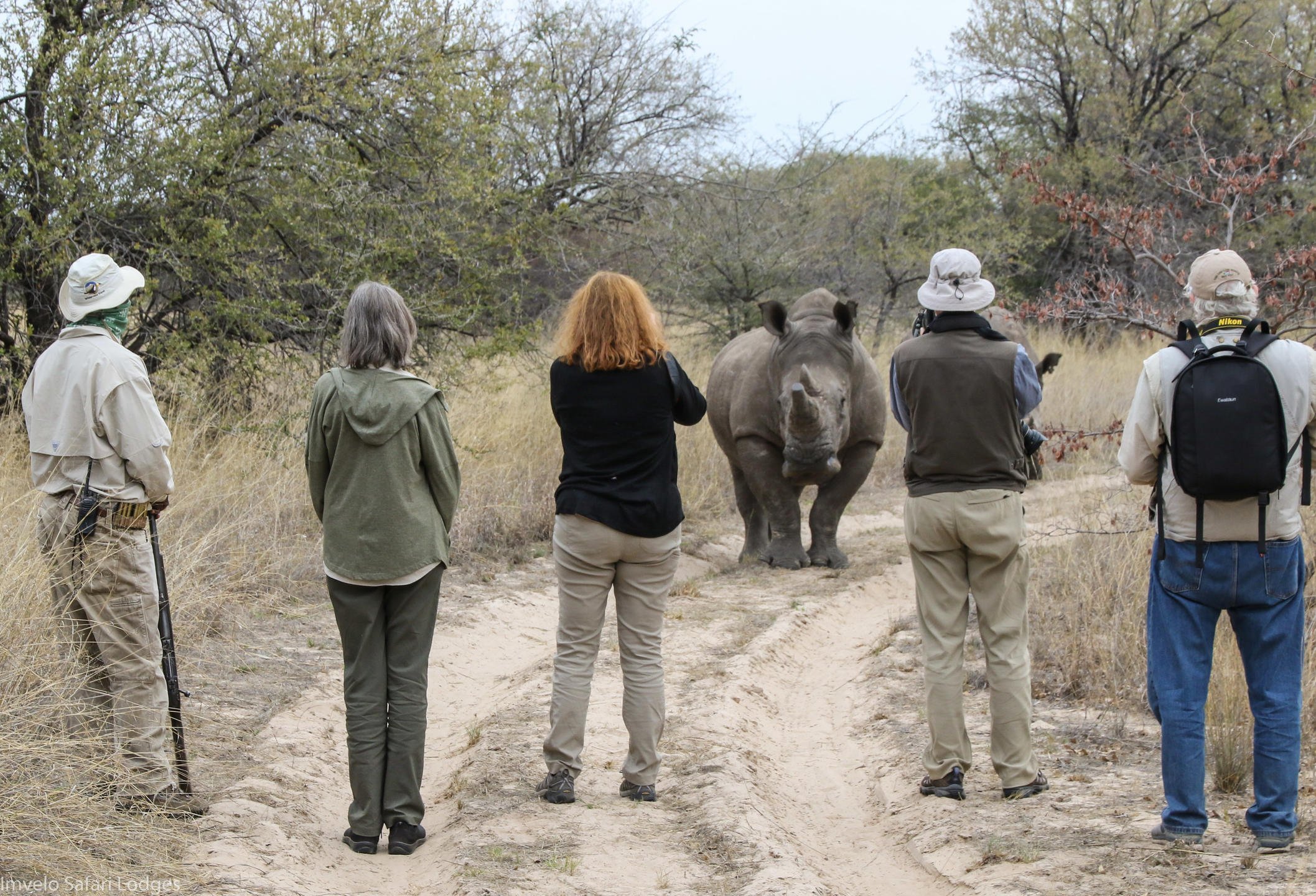 BOMANI TENTED CAMP