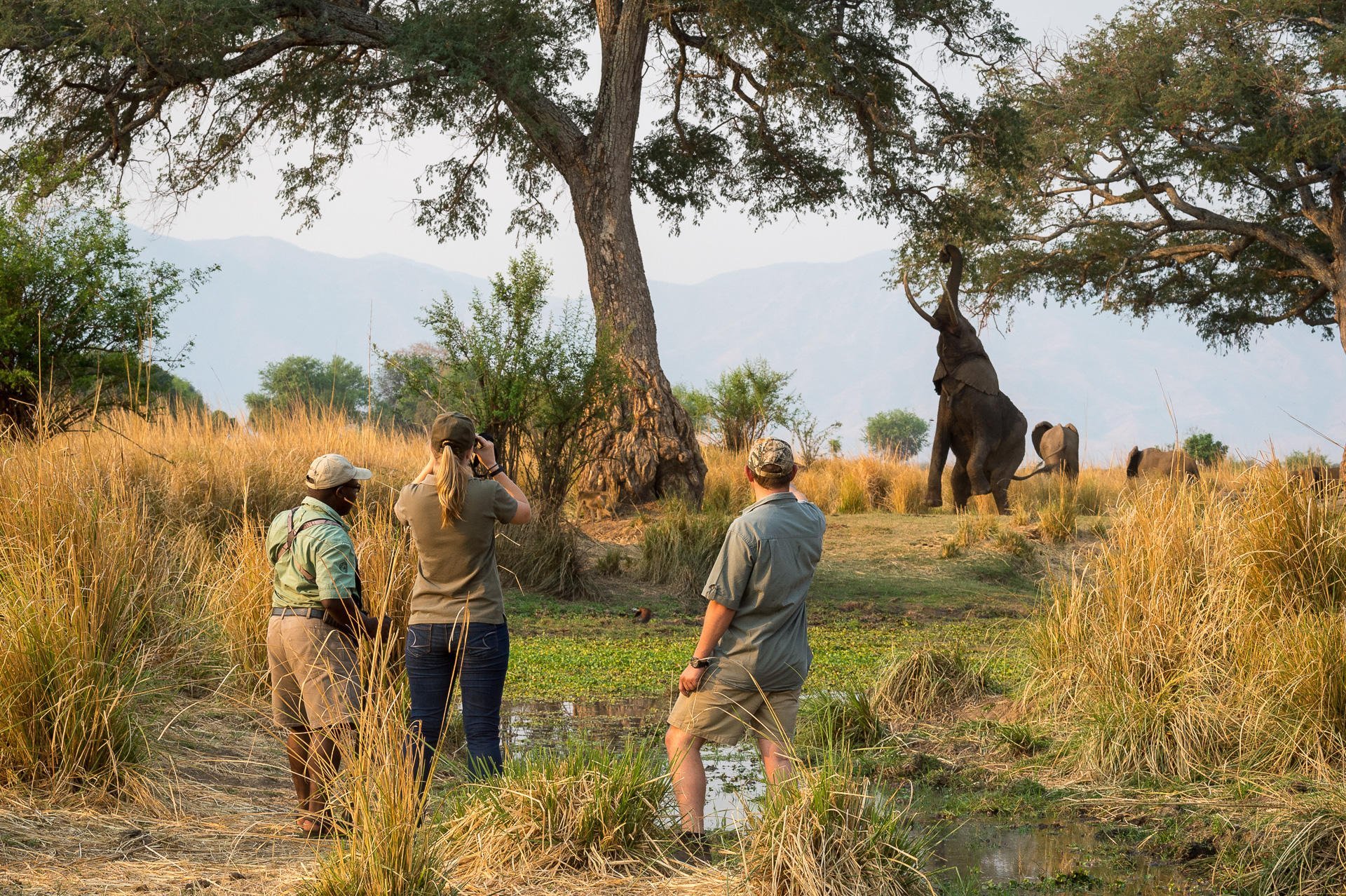 CONSERVATION AND CONCESSIONS