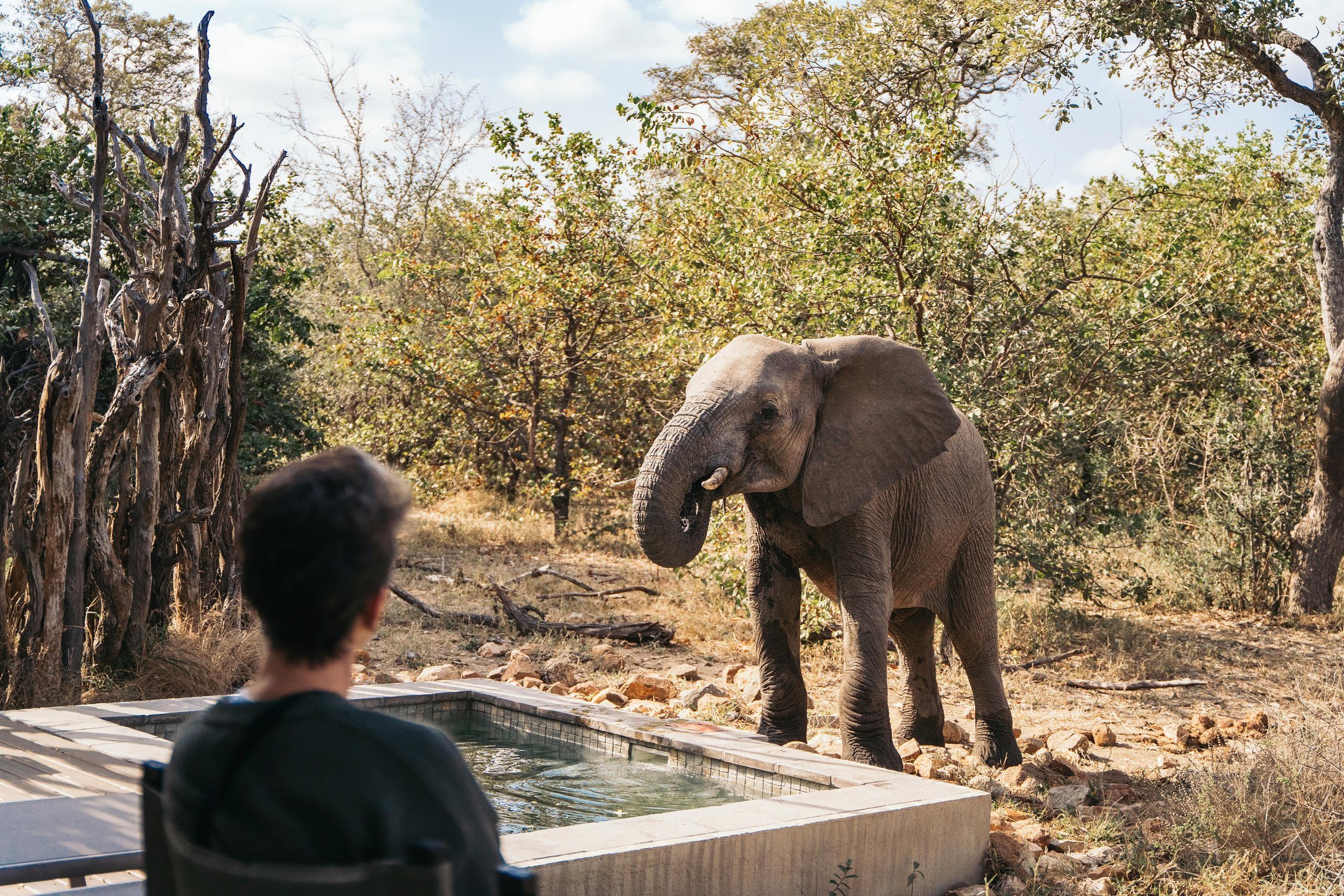 SIMBAVATI RIVER LODGE