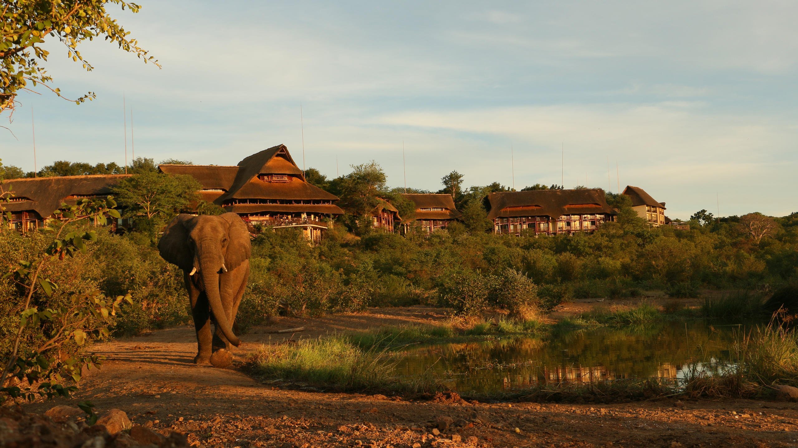 VICTORIA FALLS SAFARI CLUB