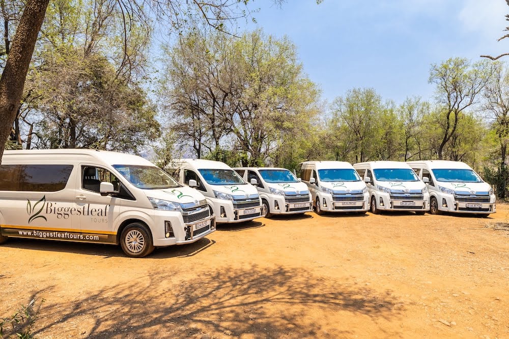 Biggestleaf transfer vehicles