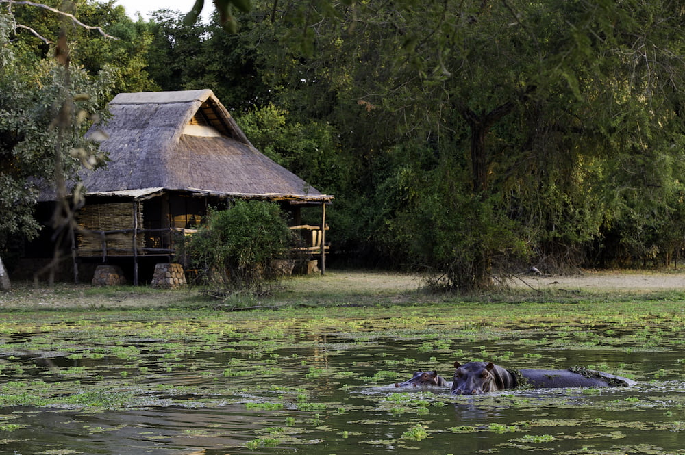 MFUWE LODGE