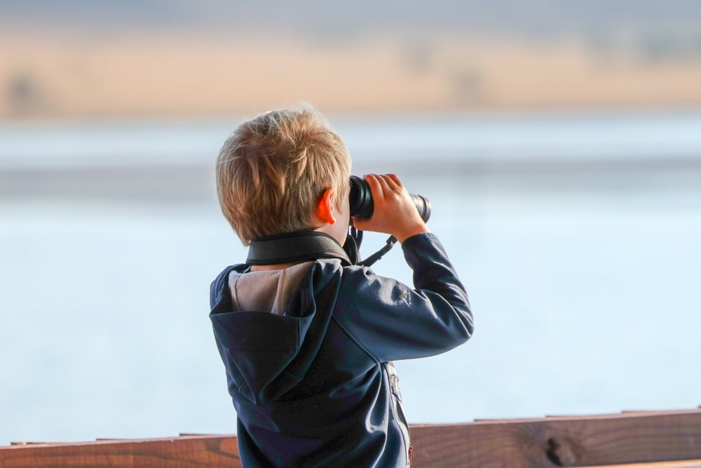 Are Safaris Family-friendly and What Age is Appropriate to Go?