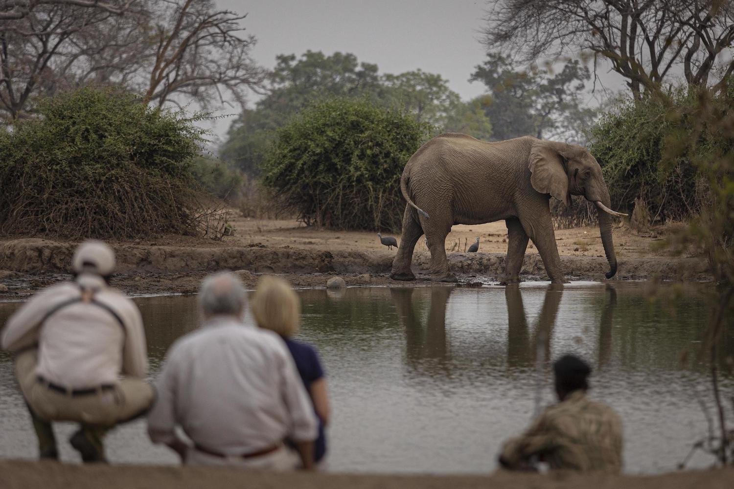 WHAT TO PACK FOR A WALKING SAFARI