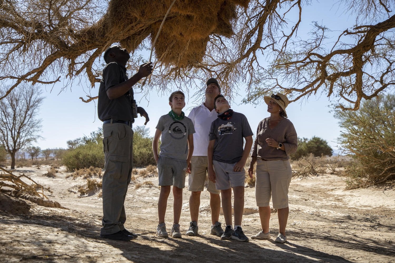 Are Safaris Family-friendly and What Age is Appropriate to Go?
