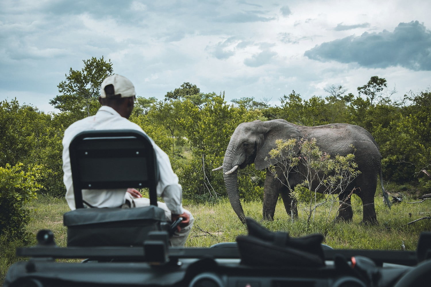 What are the differences between East Africa and Southern Africa?