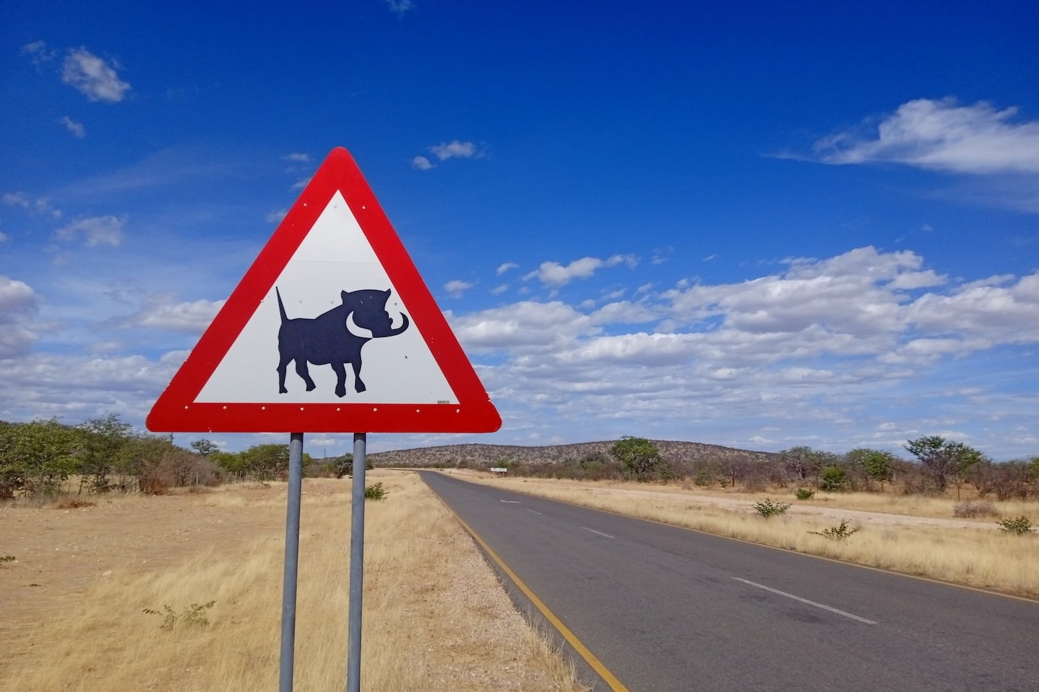 Self-driving in Africa: What You Need to Know