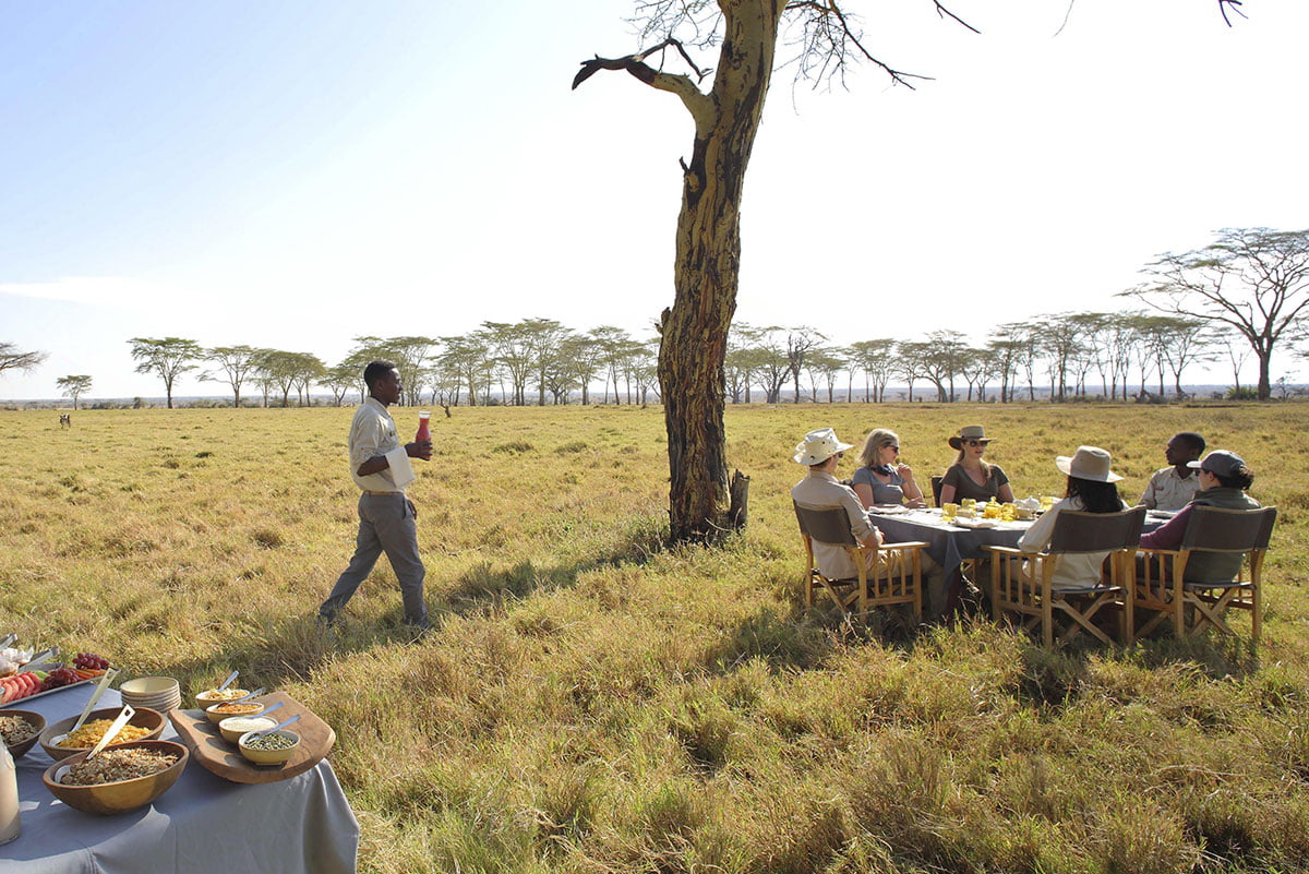 The Serengeti
