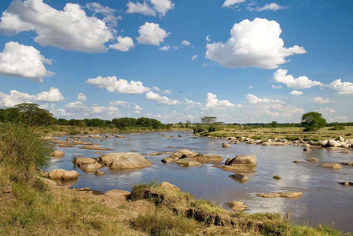 The Serengeti