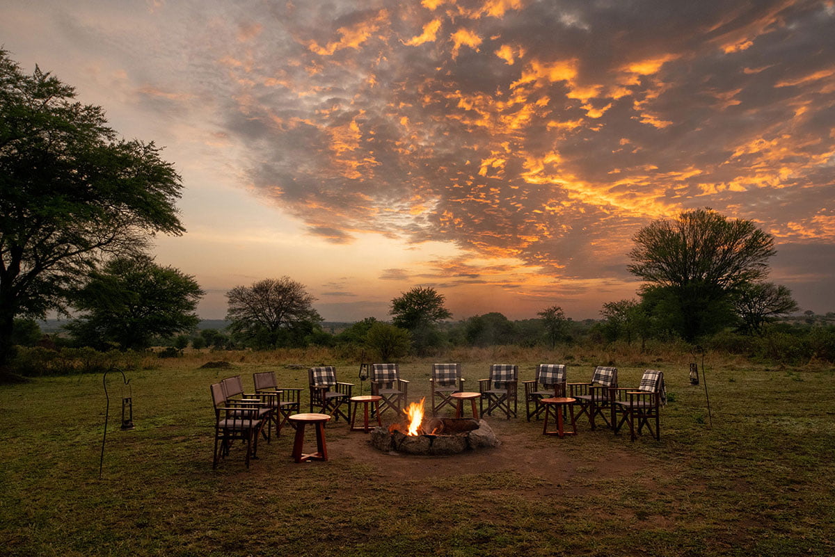 The Serengeti