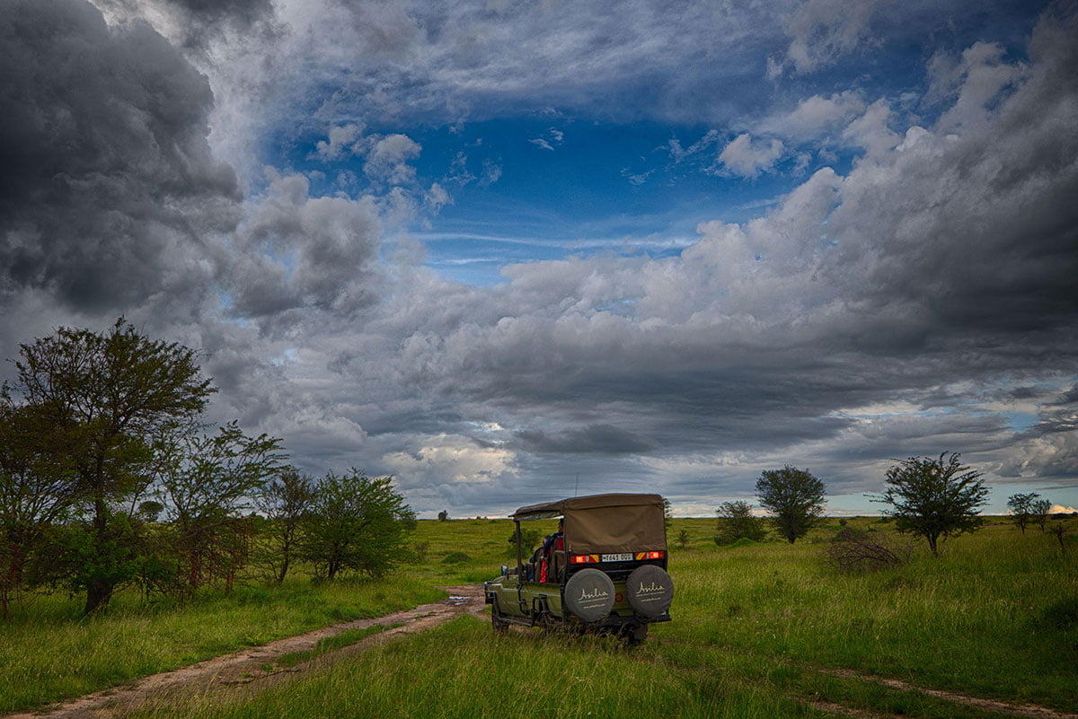 The Serengeti